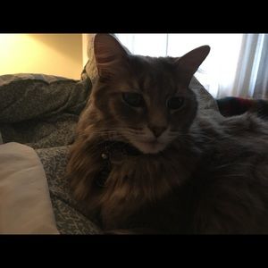 Meet your Posher, Laura